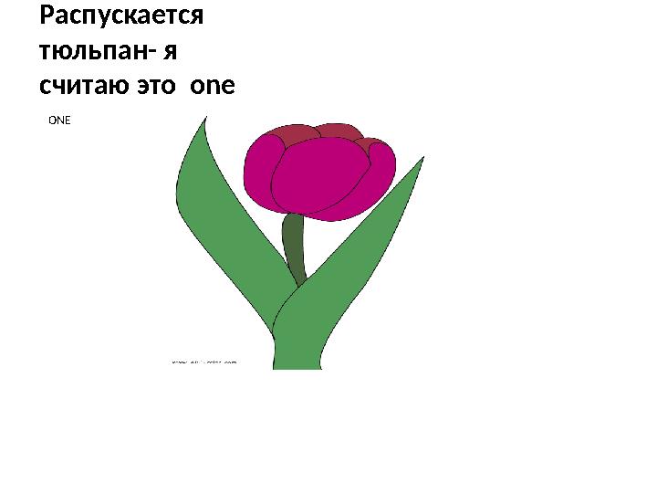 Распускается тюльпан- я считаю это one ONE