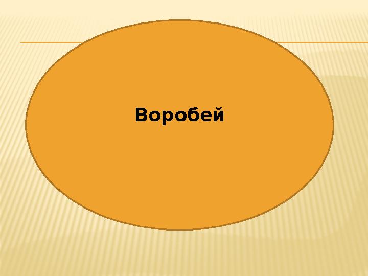 Воробей