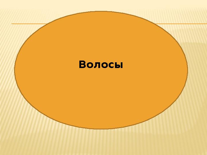 Волосы