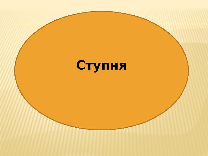 Ступня