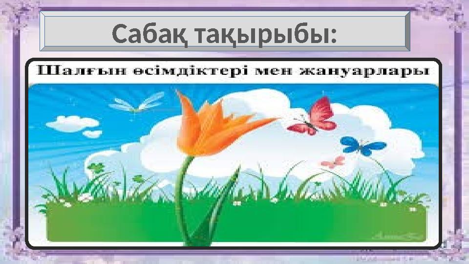 Порно актрисасы бар әлемдегі ең әдемі порно