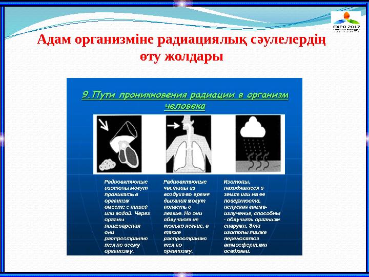 Адам организміне радиациялық сәулелердің өту жолдары