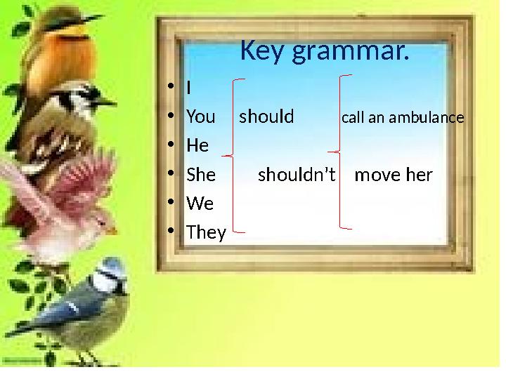 Key grammar. •I •You should call an ambulance •He •She shouldn’t move her •We •They