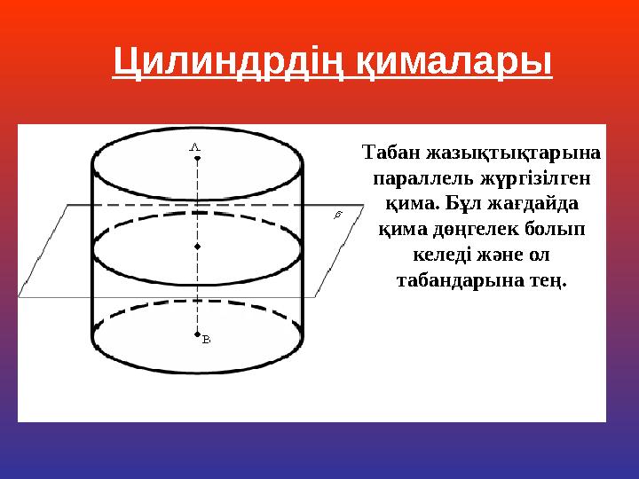 Табан жазықтықтарына параллель жүргізілген қима. Бұл жағдайда қима дөңгелек болып келеді және ол табандарына тең. Цилиндрді