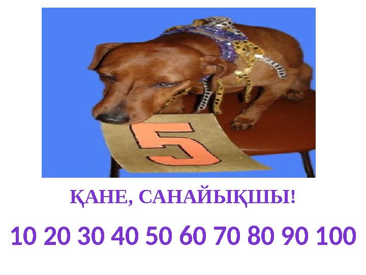 ҚАНЕ, САНАЙЫҚШЫ! 10 20 30 40 50 60 70 80 90 100