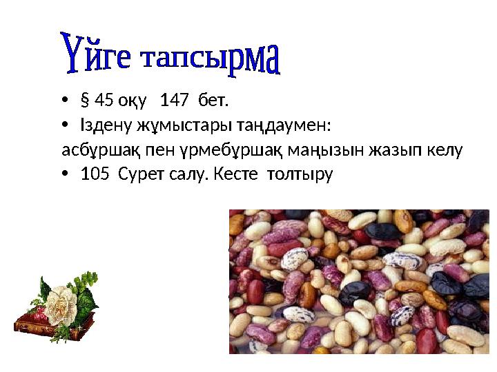 •§ 45 оқу 147 бет. •Іздену жұмыстары таңдаумен: асбұршақ пен үрмебұршақ маңызын жазып келу •105 Сурет салу. Кесте толтыру