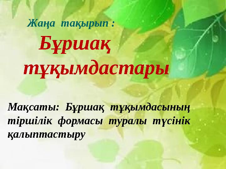 Жаңа тақырып : Бұршақ тұқымдастары Мақсаты: Бұршақ тұқымдасының тіршілік формасы туралы түсінік қалы