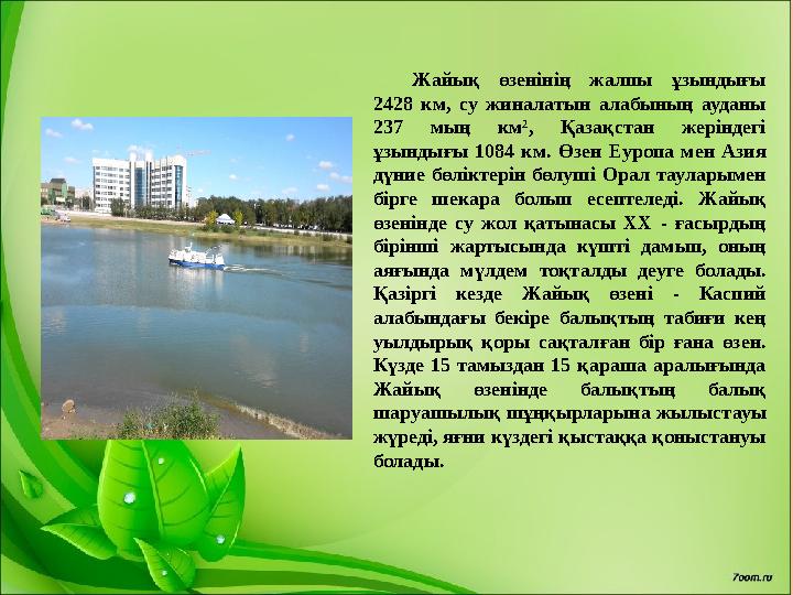 Жайық өзенінің жалпы ұзындығы 2428 км, су жиналатын алабының ауданы 237 мың км², Қазақстан жеріндегі ұзындығы 1084 км. Өз