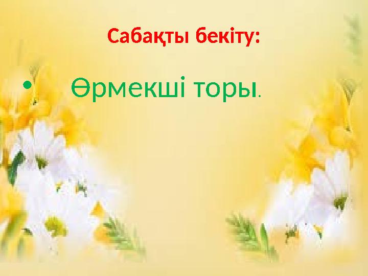 Сабақты бекіту: • Өрмекші торы.