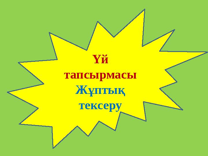 Үй тапсырмасы Жұптық тексеру