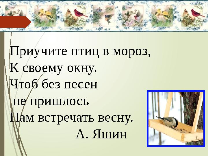 Приучите птиц в мороз, К своему окну. Чтоб без песен не пришлось Нам встречать весну. А. Яшин