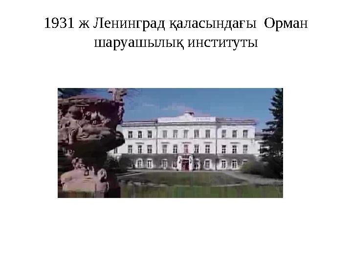 1931 ж Ленинград қаласындағы Орман шаруашылық институты