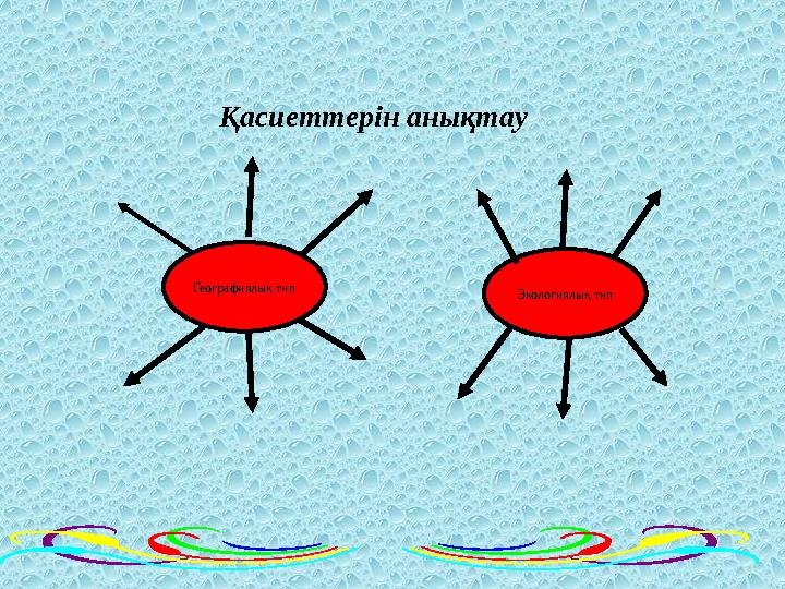 Географиялық тип Экологиялық тип Қасиеттерін анықтау