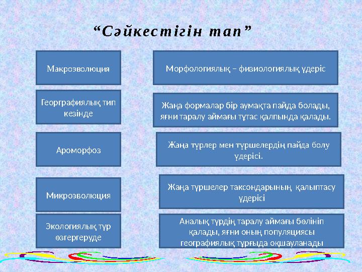 Макроэволюция “Сәйкестігін тап” Экологиялық түр өзгергеруде Микроэволюция Ароморфоз Георграфиялық тип кезінде Морфологиялық –