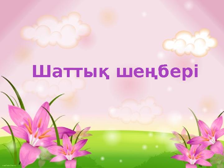 Шаттық шеңбері
