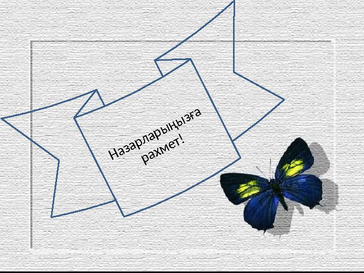Назарларыңызға рахмет!