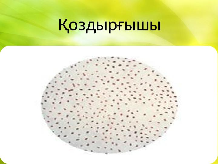 Қоздырғышы