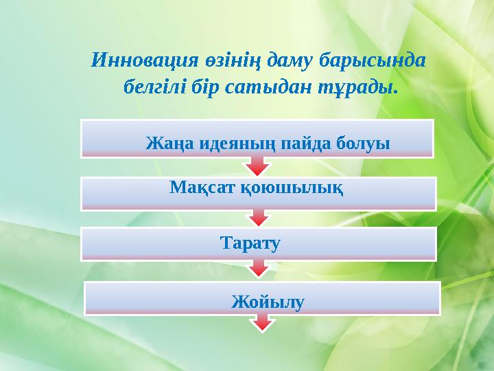 Инновация өзінің даму барысында белгілі бір сатыдан тұрады. Жаңа идеяның пайда болуы Мақсат қоюшылық Тарату Жойы