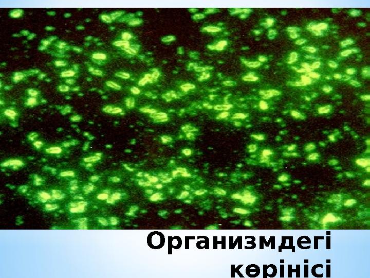 Организмдегі көрінісі