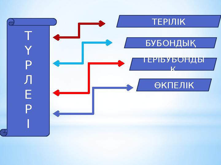 Т Ү Р Л Е Р І ТЕРІЛІК БУБОНДЫҚ ТЕРІБУБОНДЫ Қ ӨКПЕЛІК