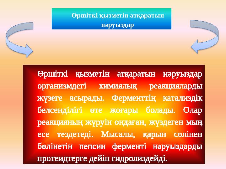 Өршіткі қызметін атқаратын нәруыздар Өршіткі қызметін атқаратын нәруыздар организмдегі химиялық реакцияларды жүзеге асырады.