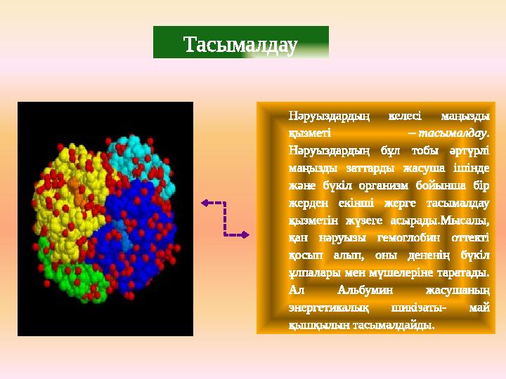 Тасымалдау Нәруыздардың келесі маңызды қызметі – тасымалдау. Нәруыздардың бұл тобы әртүрлі маңызды заттарды жасуша ішінде ж