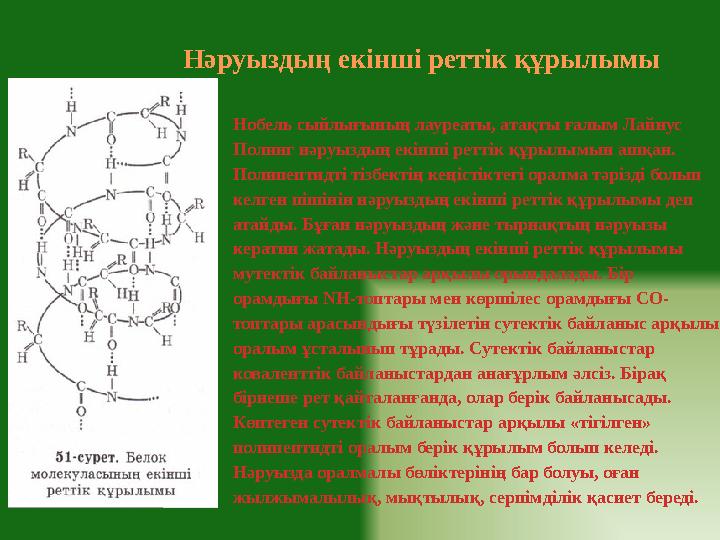 Нәруыздың екінші реттік құрылымы Нобель сыйлығының лауреаты, атақты ғалым Лайнус Полинг нәруыздың екінші реттік құрылымын ашқан