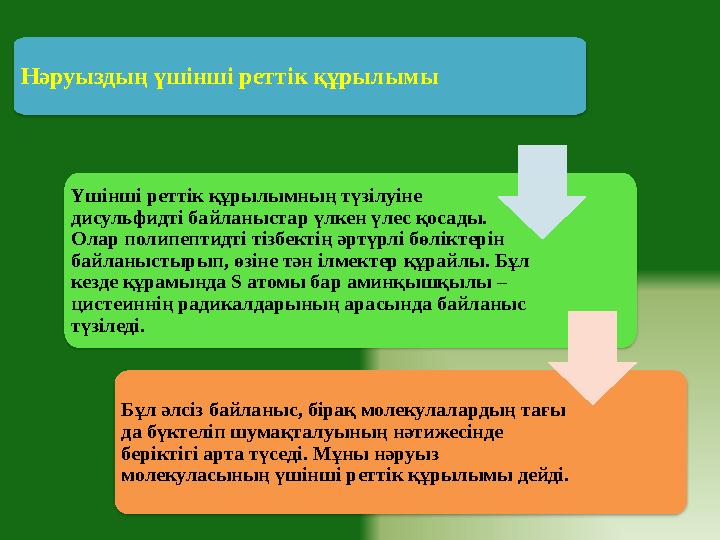 Нәруыздың үшінші реттік құрылымы Үшінші реттік құрылымның түзілуіне дисульфидті байланыстар үлкен үлес қосады. Олар полипепт