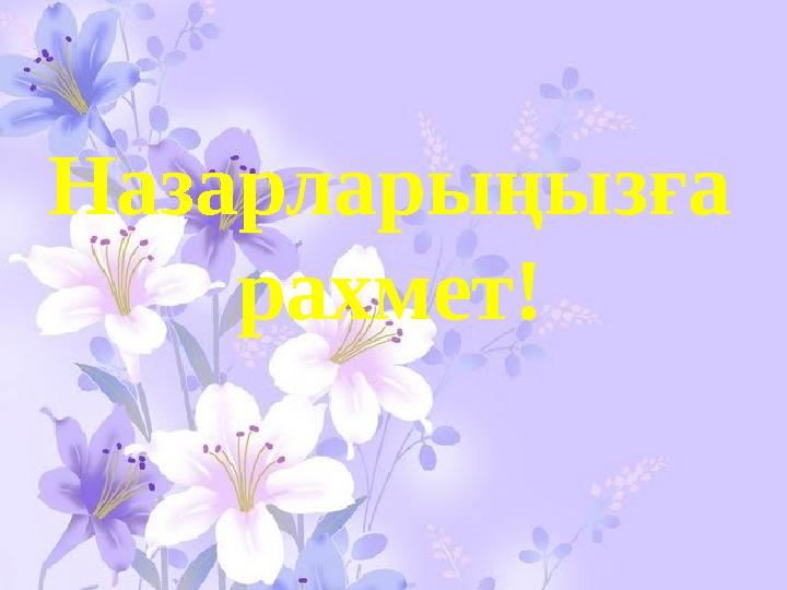 Назарларыңызға рахмет!