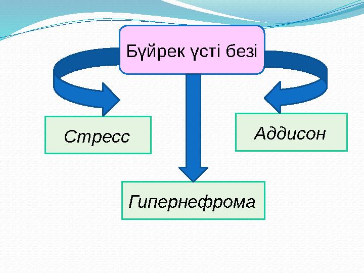 Бүйрек үсті безі Аддисон Стресс Гипернефрома