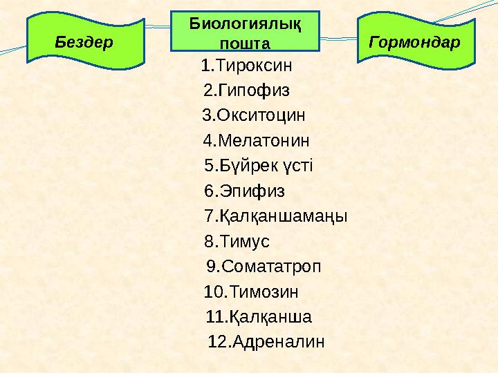 1.Тироксин 2.Гипофиз 3.Окситоцин 4.Мелатонин 5.Бүйрек үсті 6.Эпифиз