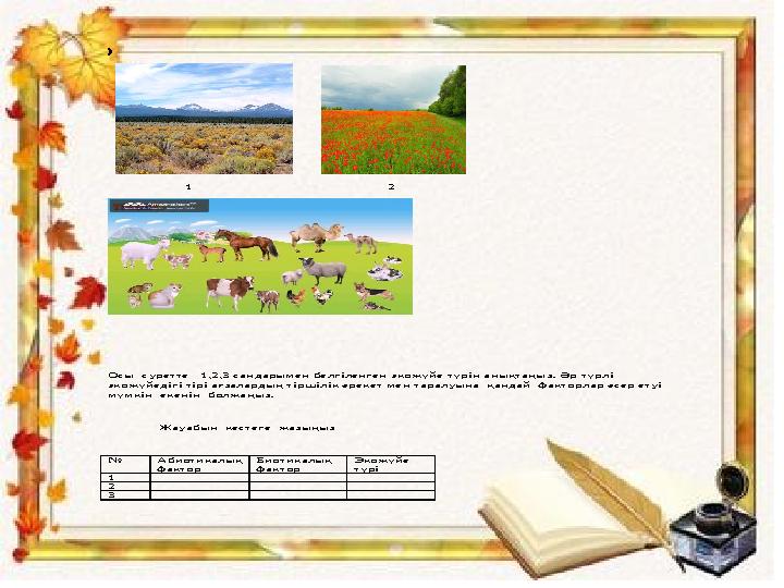 1 2 Осы суретте 1,2,3 сандарымен белгіленген экожүйе түрін анықтаңыз. Әр түрлі