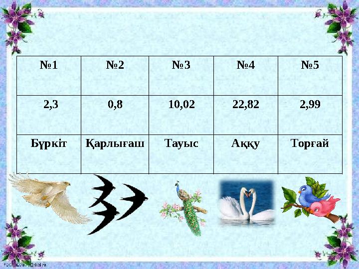 №1 №2 №3 №4 №5 2,3 0,8 10,02 22,82 2,99 БүркітҚарлығаш Тауыс Аққу Торғай