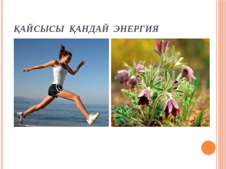 ҚАЙСЫСЫ ҚАНДАЙ ЭНЕРГИЯ