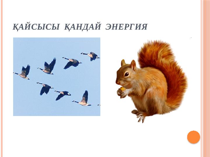 ҚАЙСЫСЫ ҚАНДАЙ ЭНЕРГИЯ