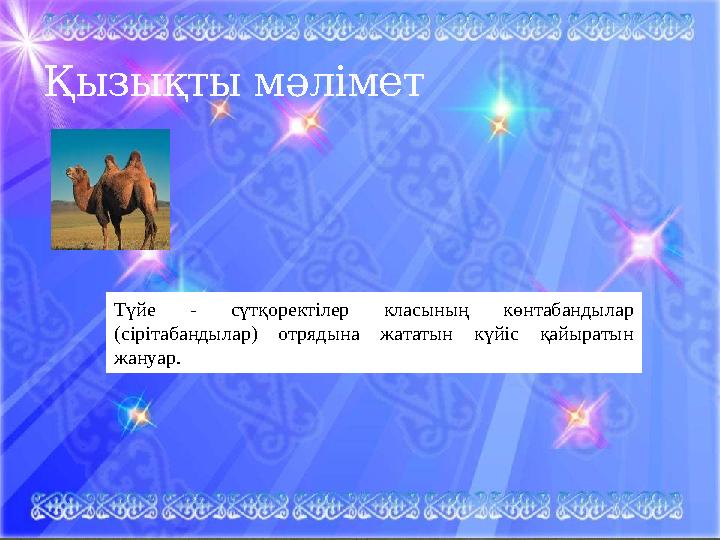 Қызықты мәлімет Түйе - сүтқоректілер класының көнтабандылар (сірітабандылар) отрядына жататын күйіс қайыратын жануар.