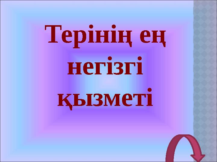 Терінің ең негізгі қызметі