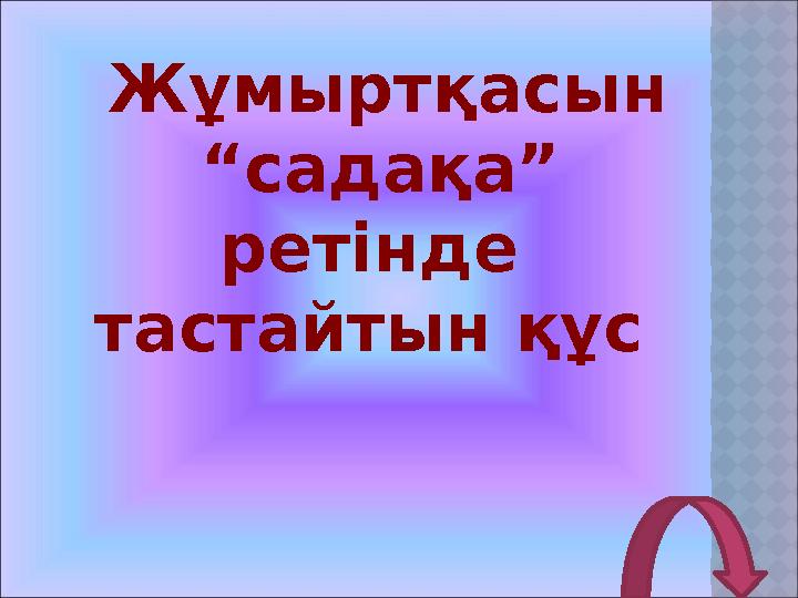 Жұмыртқасын “садақа” ретінде тастайтын құс