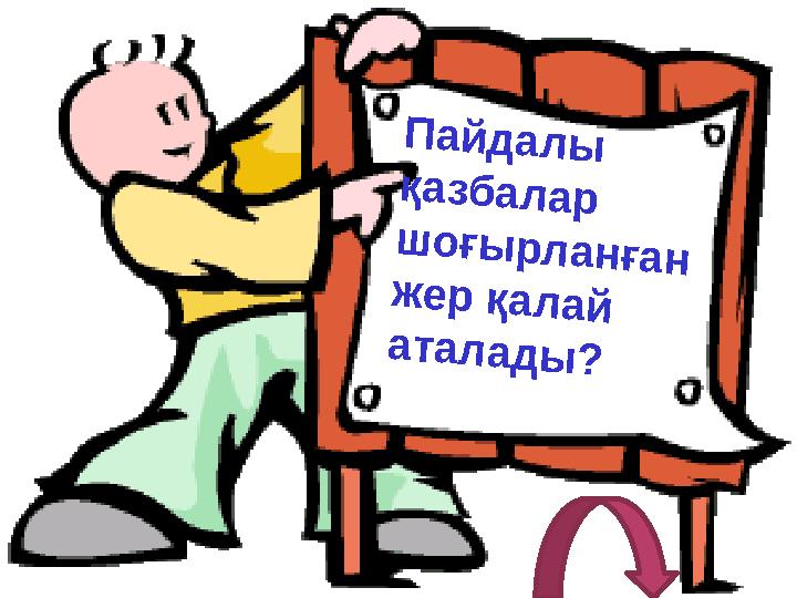 Пайдалы қазбалар шоғырланған жер қалай аталады?