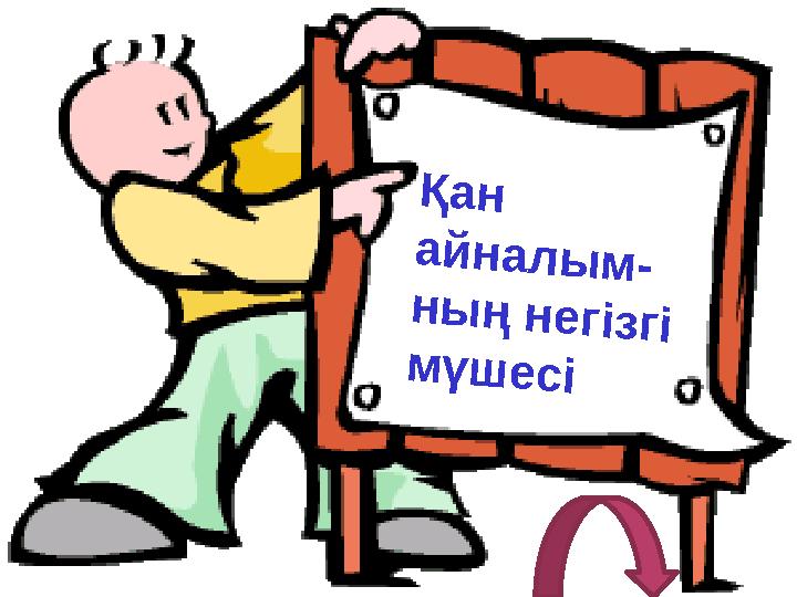 Қан айналым- ның негізгі мүшесі