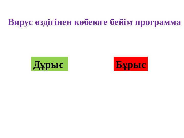 Вирус өздігінен көбеюге бейім программа Дұрыс Бұрыс