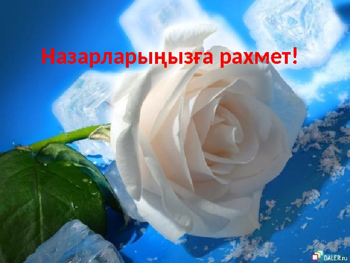 Назарларыңызға рахмет!