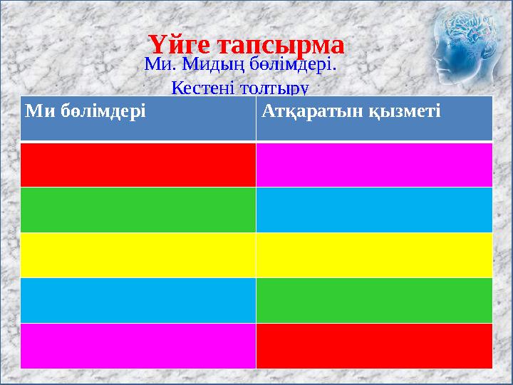 Үйге тапсырма Ми. Мидың бөлімдері. Кестені толтыру Ми бөлімдері Атқаратын қызметі
