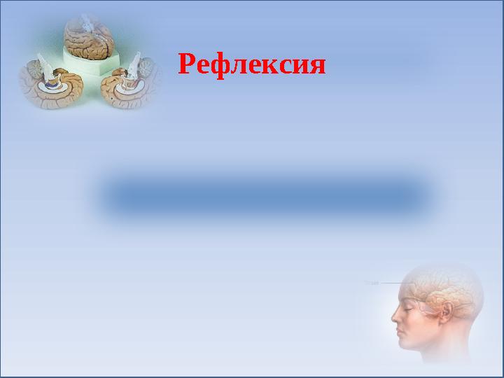 Рефлексия