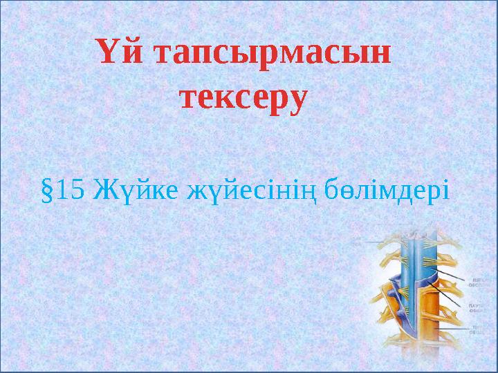 §15 Жүйке жүйесінің бөлімдері Үй тапсырмасын тексеру