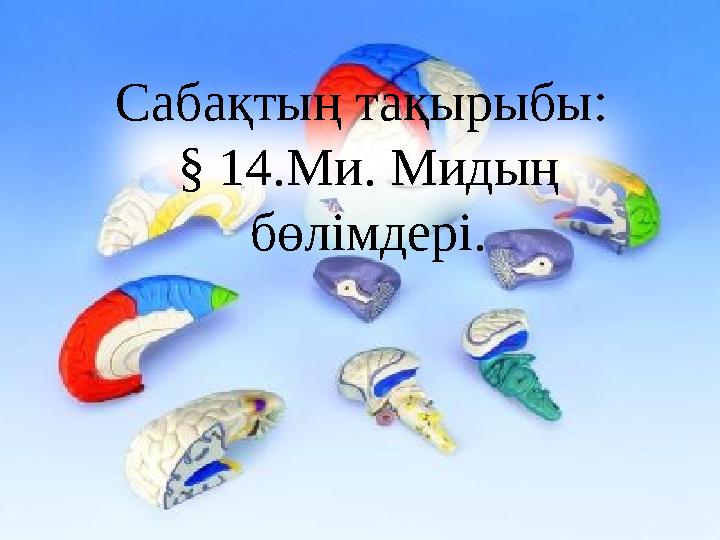Сабақтың тақырыбы: § 14.Ми. Мидың бөлімдері.