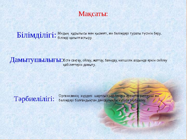 . Мидың құрылысы мен қызметі, ми бөлімдері туралы түсінік беру, білімді қалыптастыру. Мақсаты: Білімділігі: Дамытушылығы:Ест