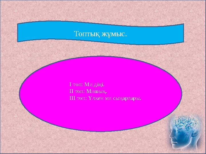 Топтық жұмыс. I топ: Ми діңі. II топ: Мишық. III топ: Үлкен ми сыңарлары.