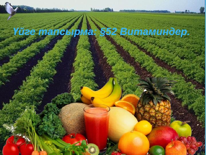 Үйге тапсырма: §52 Витаминдер.