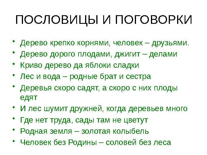 ПОСЛОВИЦЫ И ПОГОВОРКИ •Дерево крепко корнями, человек – друзьями. •Дерево дорого плодами, джигит – делами •Криво дерево да яблок